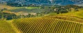 Tuscany landscape with vineyards rows Royalty Free Stock Photo