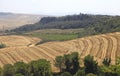 Tuscany landscape with yellow fields, Italy Royalty Free Stock Photo