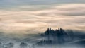 Tuscany misty morning in spring time with olive trees Royalty Free Stock Photo