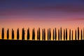 Tuscany, panoramic landscape with cypress in beautiful sunrise i Royalty Free Stock Photo