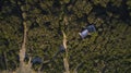 Tuscany pines forest landscape. view from drone