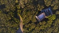 Tuscany pines forest landscape. view from drone