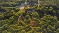 Tuscany pines forest landscape. view from drone