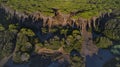 Tuscany pines forest landscape. view from drone