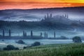 Tuscany ranch with vineyard Royalty Free Stock Photo