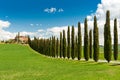 Tree-lined residence driveway in Rural Tuscany