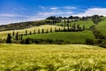 Tuscany road with cypress trees, Val d`Orcia, Royalty Free Stock Photo