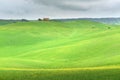Tuscany, rural landscape. Countryside farm, cypresses trees, green field, cloudy day Royalty Free Stock Photo