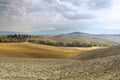 Tuscany rural landscape Royalty Free Stock Photo