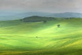 Tuscany, rural landscape. Countryside farm, cypresses trees, green field, cloudy day Royalty Free Stock Photo