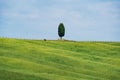 Tuscany rural landscape in Crete Senesi, landscape with green rolling hills and cypresses in Val d\'Orcia, Italy Royalty Free Stock Photo