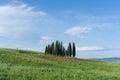 Tuscany rural landscape in Crete Senesi, landscape with green rolling hills and cypresses in Val d\'Orcia, Italy Royalty Free Stock Photo
