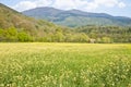 Tuscany rural landscape Italy - Pisa city