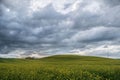 Tuscany rural landscaper path countryside italy green blue