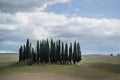 Tuscany rural landscaper path countryside italy green blue