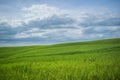 Tuscany rural landscaper path countryside italy green blue