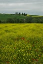 Tuscany rural landscaper path countryside italy green blue yellow Royalty Free Stock Photo