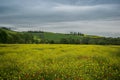 Tuscany rural landscaper path countryside italy green blue yellow