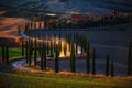 Tuscany, rural sunset landscape. Countryside farm, cypresses trees, green field, sun light and car on the road. Italy, Europe. Royalty Free Stock Photo