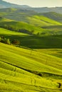 Tuscany, rural sunset landscape. Countryside farm Royalty Free Stock Photo