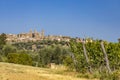 Tuscany`s most famous vineyards near town Montalcino in Italy Royalty Free Stock Photo