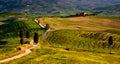 Tuscany scene from gladiator movie with road and farmhouse Royalty Free Stock Photo