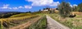 Tuscany scenic landscape, castles and vineyards. Italy Royalty Free Stock Photo