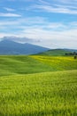 Tuscany spring, rolling hills on spring . Rural landscape. Green fields and farmlands. Italy, Europe