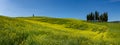 Tuscany spring, rolling hills on spring . Rural landscape. Green fields and farmlands. Italy, Europe