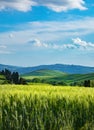 Tuscany spring, rolling hills on spring . Rural landscape. Green fields and farmlands. Italy, Europe Royalty Free Stock Photo