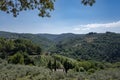 Tuscany sunny landscape. Typical for the region tuscan farm house, hills, vineyard. Italy Royalty Free Stock Photo