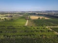 Tuscany sunny landscape. Typical for the region tuscan farm house, hills, vineyard. Italy Royalty Free Stock Photo