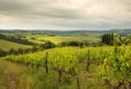 Tuscany sunny landscape. Typical for the region tuscan farm house, Italy Royalty Free Stock Photo