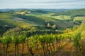 Tuscany sunny landscape. Typical for the region tuscan farm house. Italy