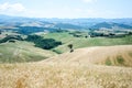 Tuscany wheat field and beautiful landscape. Italy Royalty Free Stock Photo