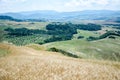 Tuscany wheat field and beautiful landscape. Italy Royalty Free Stock Photo