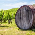 Tuscany wineyard