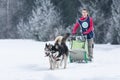 Unidentified woman participating in the Free Dog Sled Racing Contest