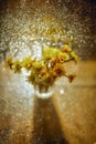 Tussilago bouquet in glass in water drops and sunshine