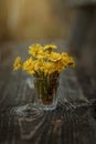 Tussilago bouquet in glass in water drops and sunshine