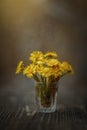 Tussilago bouquet in glass in water drops and sunshine