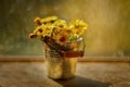 Tussilago bouquet in decorative bucket in water drops and sunshine