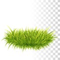 Tussock Of Green Grass Royalty Free Stock Photo