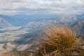 Tussock in wind in Southern Alps Royalty Free Stock Photo