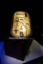Tutankhamun exhibition in Paris Royalty Free Stock Photo