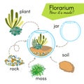 Tutorial how to make florarium. Succulents inside glass terrarium, elements for florarium: jar, plant, rocks, moss, soil. Royalty Free Stock Photo