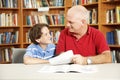 Tutoring in the Library Royalty Free Stock Photo