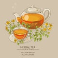 Tutsan tea vector illustration