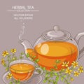 Tutsan tea vector illustration