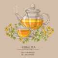 Tutsan tea vector illustration